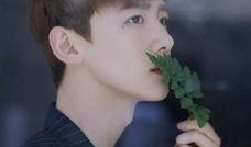 圈内小料爆料白敬亭,圈内小料揭秘其幕后故事